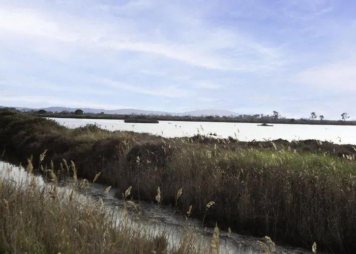 Apartment Le Grand Large-2 By Interhome